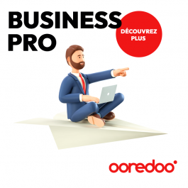 Business Pro